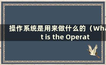 操作系统是用来做什么的（What is the Operating System use for）